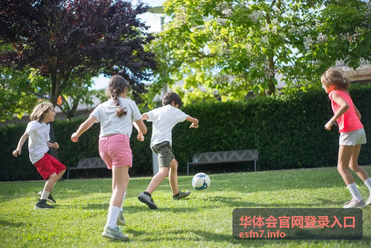 华体会新用户首充礼包